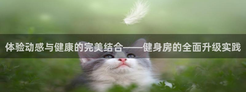 意昂2代理
