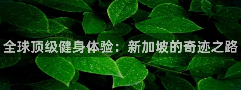 意昂2娱乐