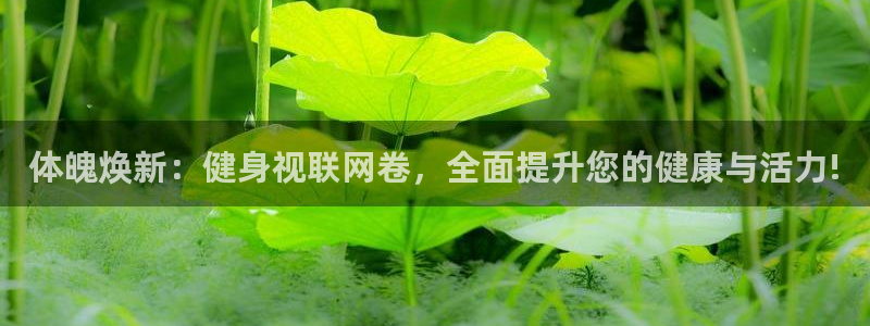 意昂2代理