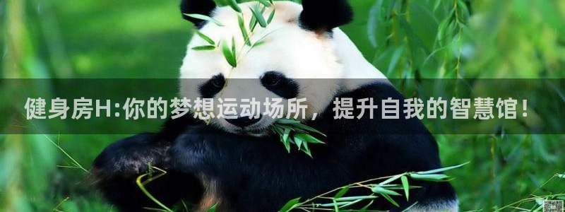 意昂2官方平台