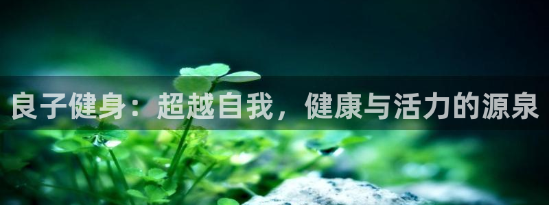 意昂2娱乐